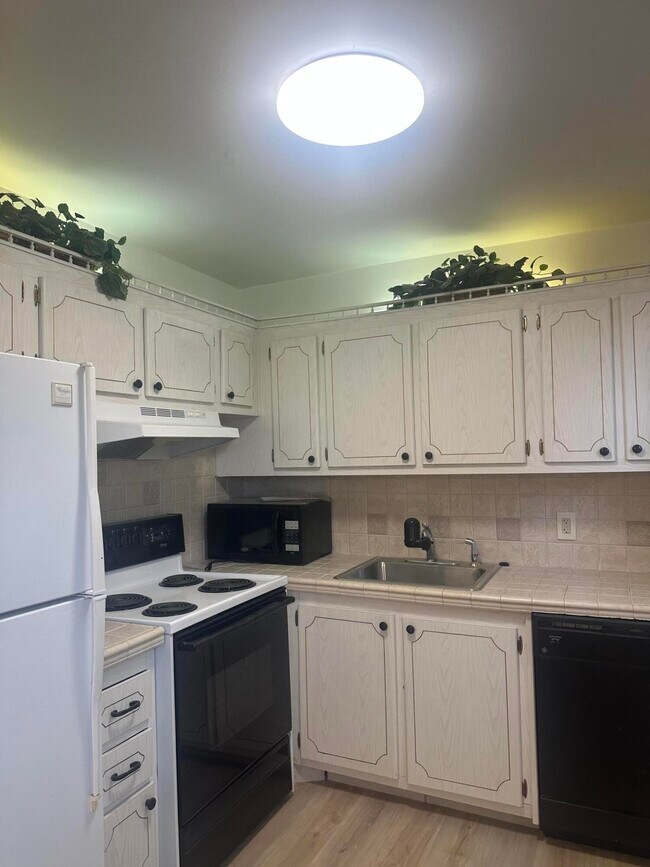 Building Photo - 74 Northampton D