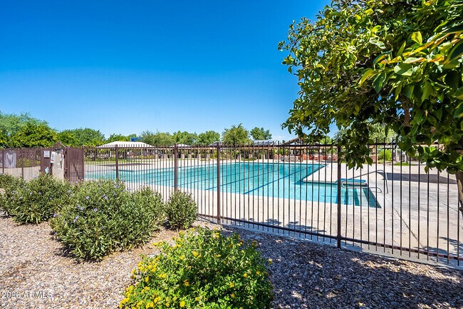 Building Photo - 4203 E Los Altos Rd