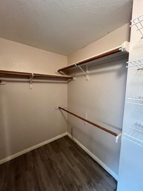 Building Photo - 1239 Rocky Creek Dr