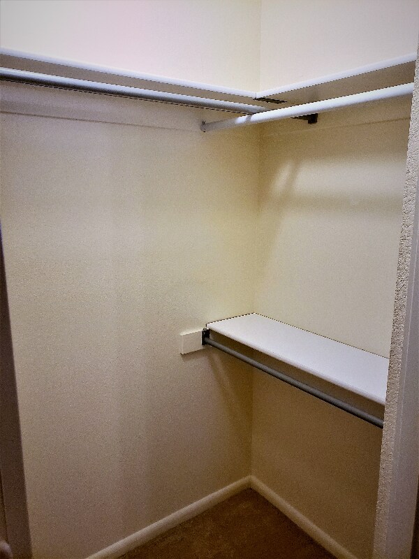 Building Photo - 1319 Walnut St