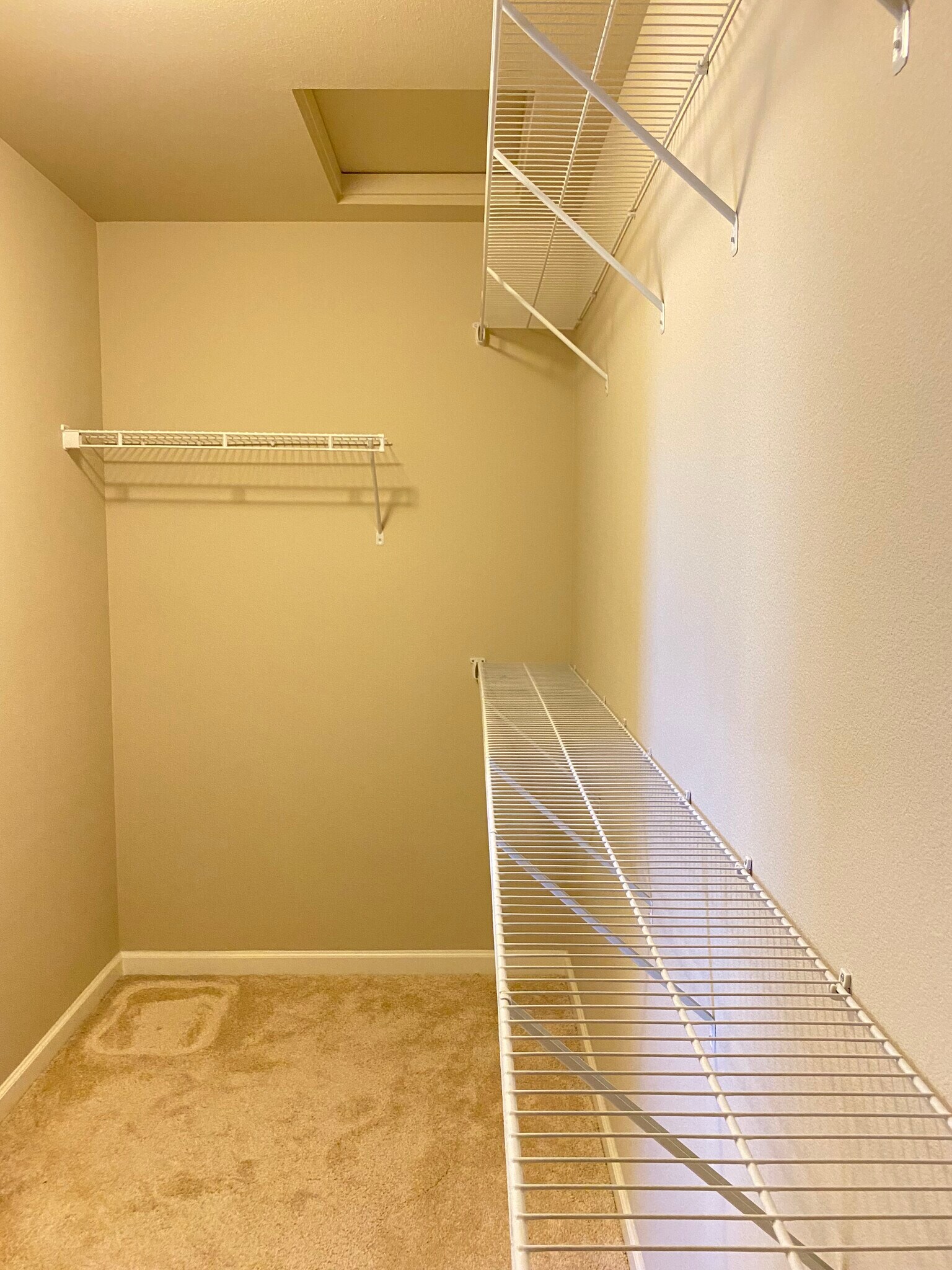 Building Photo - 2230 Hidden Creek Ct