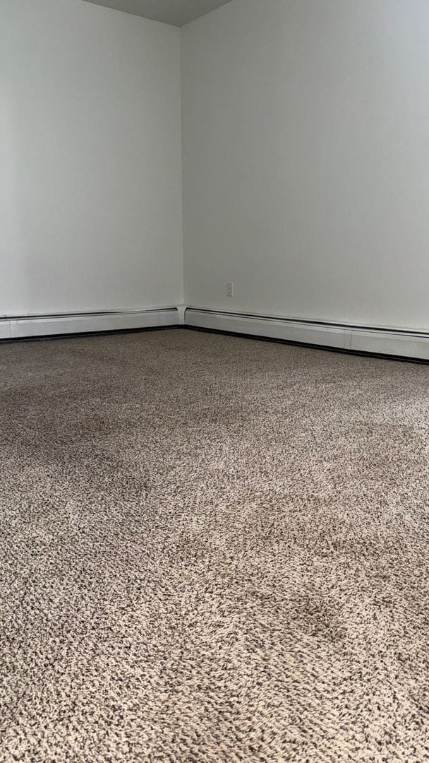 Building Photo - Upper 2-Bedroom | Brand New Updates & Heat Included!