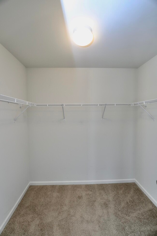 Building Photo - 1009 Providence Plantation Dr