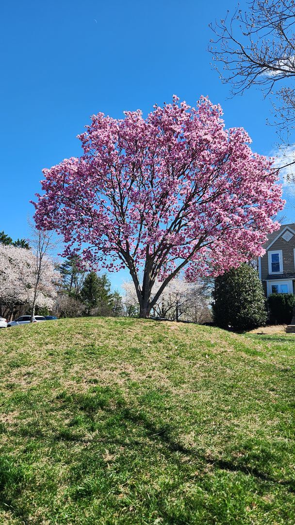 Building Photo - End-unit townhome in highly desired Kingstown