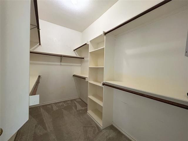 Building Photo - 408 Elam Dr