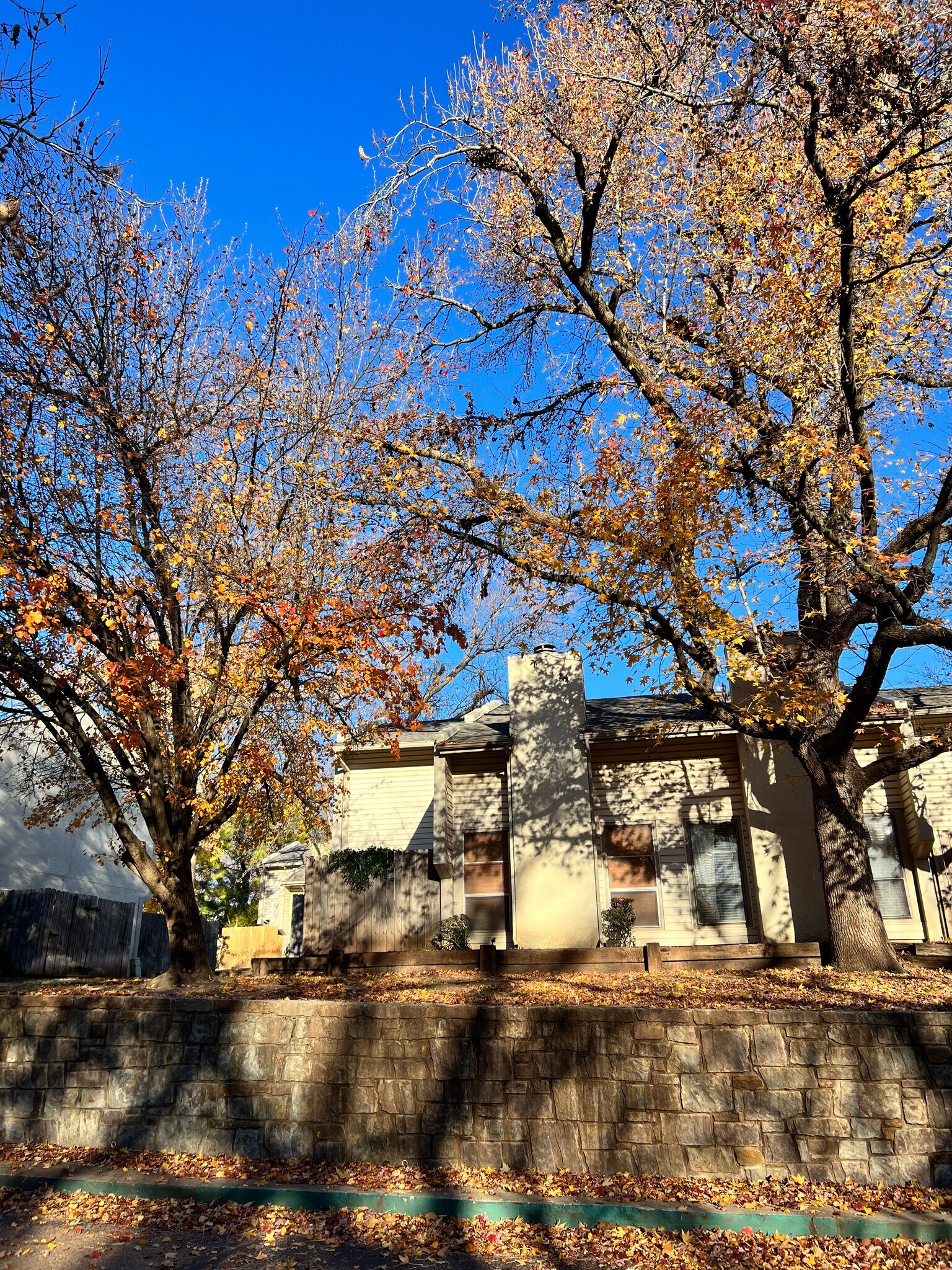 Building Photo - 819 Red Bird Ln