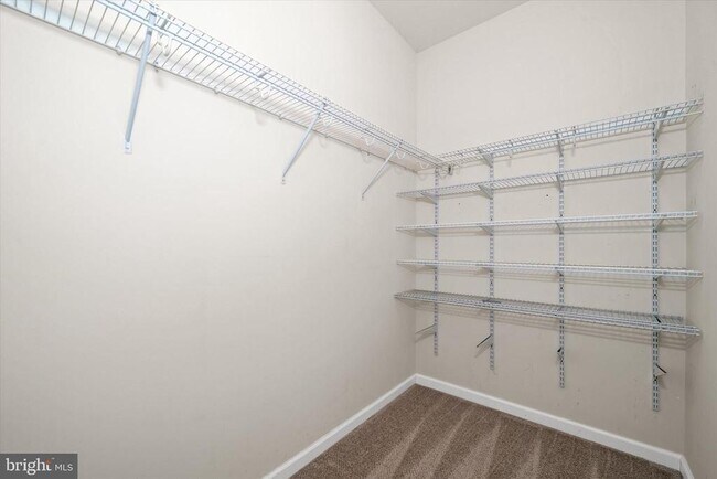 Building Photo - 10 Chasmere Dr