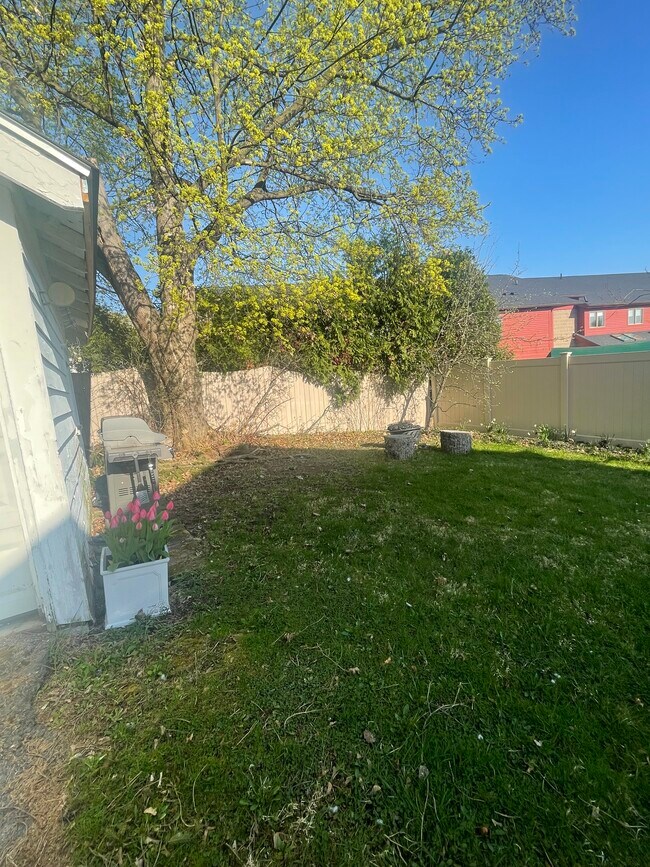 Backyard with shared Grill and Fire Pit - 106 Windham Ave