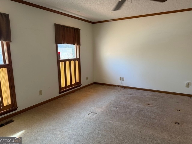 Building Photo - 206 Ridge Cir