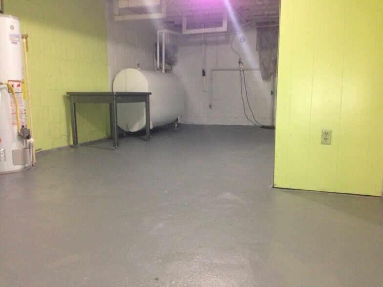 Basement - 419 Gusryan St