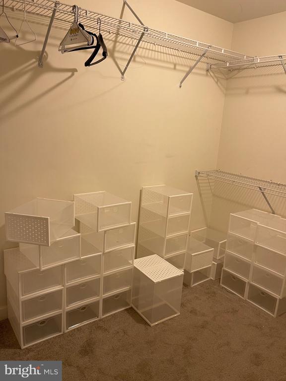 Building Photo - 1513 Regent Manor Ct