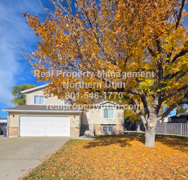 Primary Photo - 5 Bedroom Home In West Point Available Now!