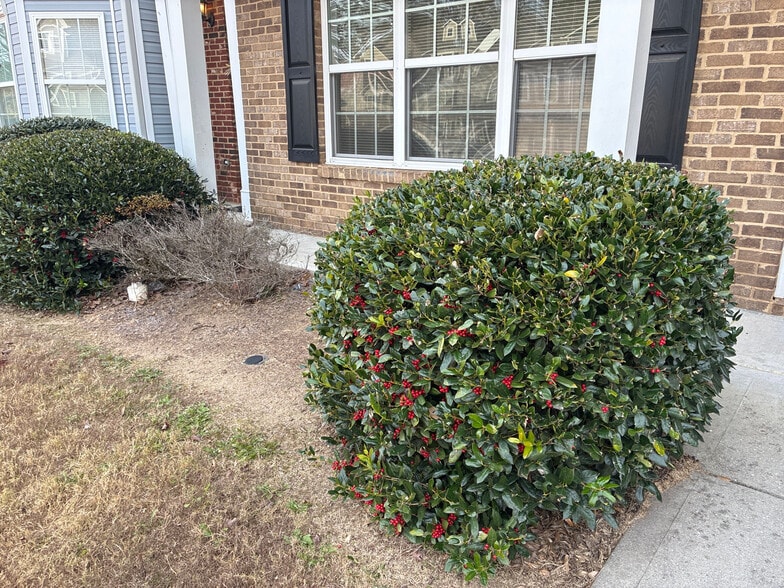 Building Photo - Room in Townhome on Olmadison Pl