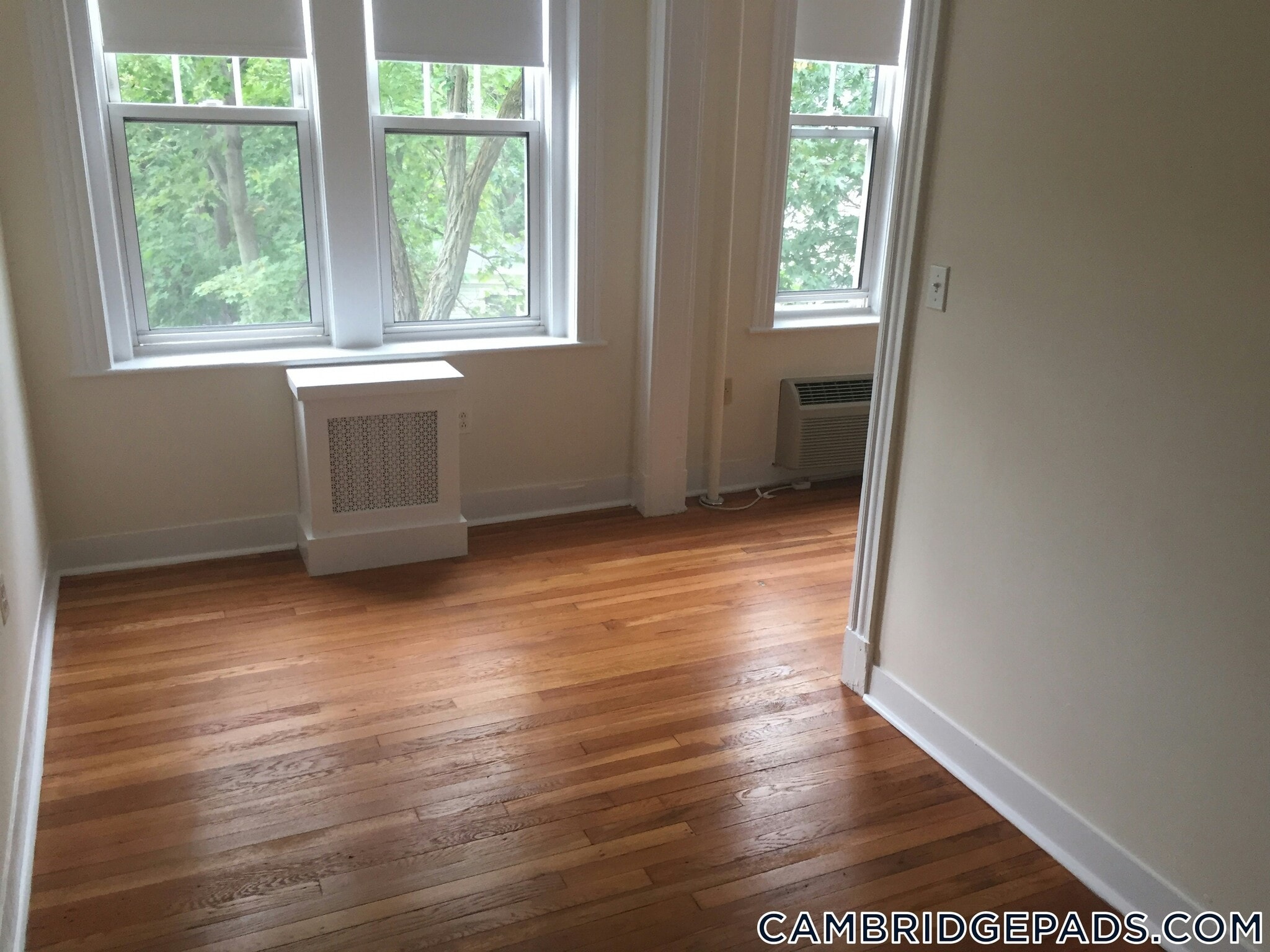 Building Photo - 3 Langdon St