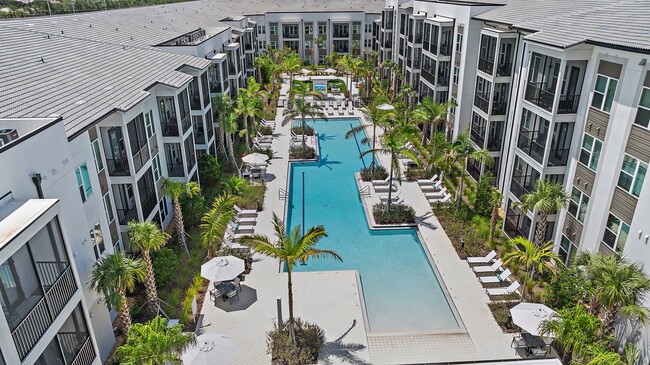 Primary Photo - Mira at Palmer Ranch