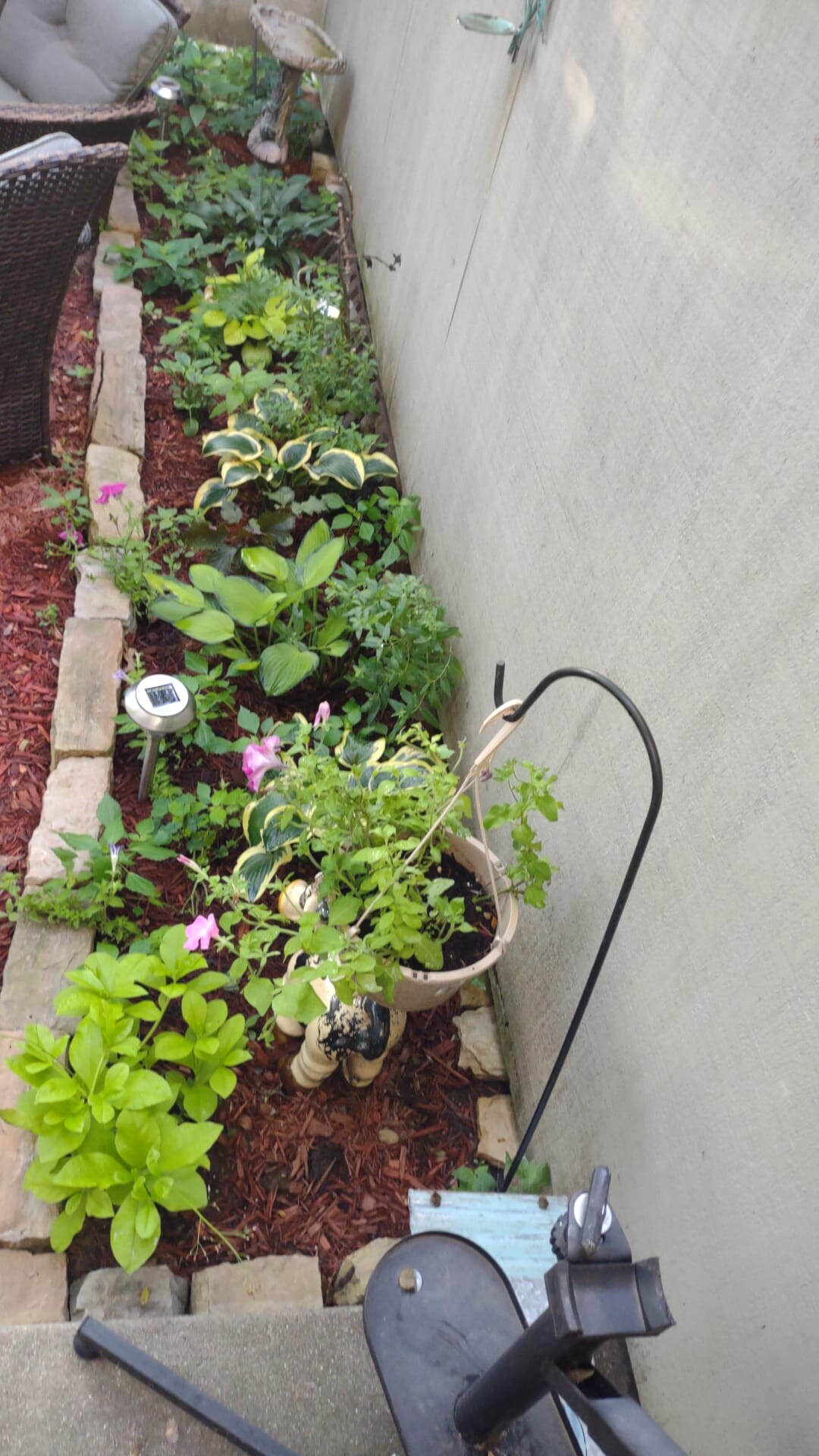 Established Garden - 403 East Bluff