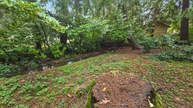 Building Photo - Beautifully Remodeled Bellevue Home in Prime Location