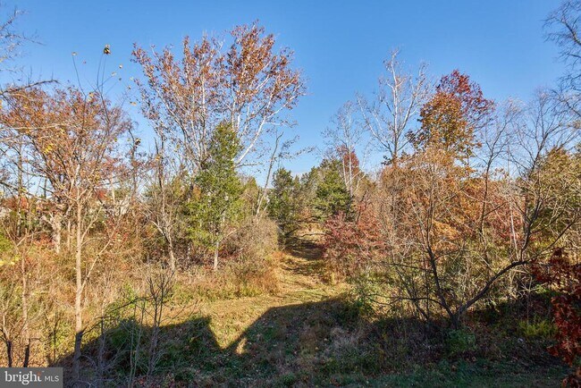 Building Photo - 42612 Galbraith Square