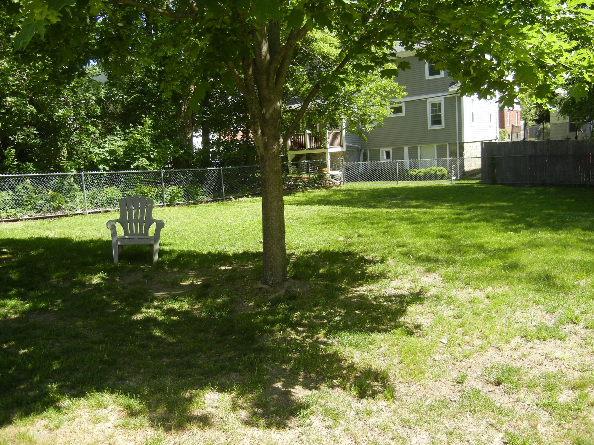 Backyard - 20 Colbert St