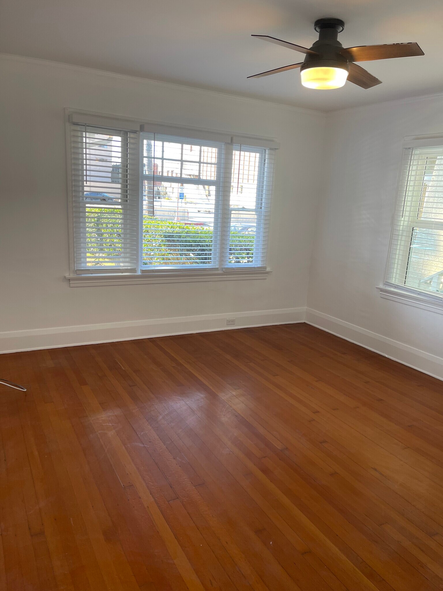 Building Photo - 508 S Catalina Ave