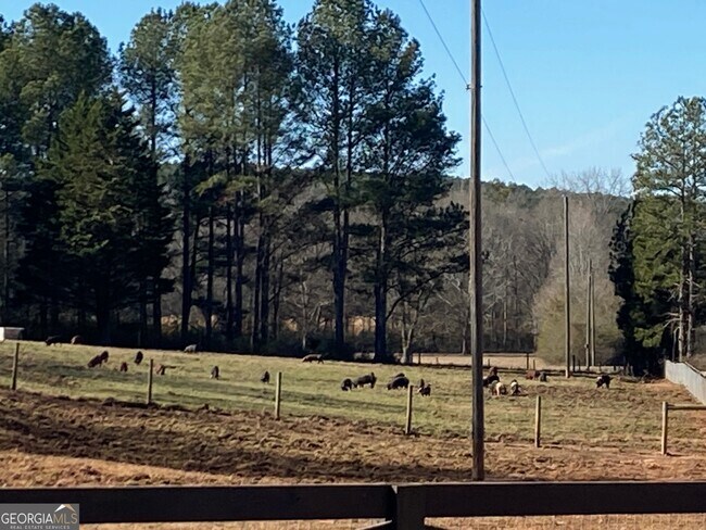 Building Photo - 919 Arnold Bottoms Rd