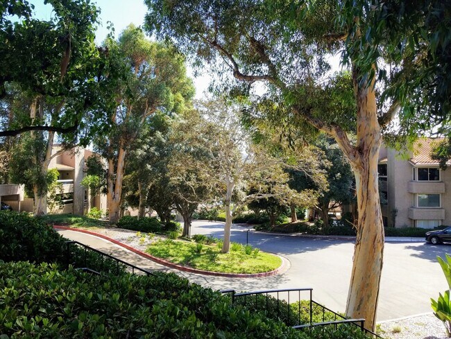 Building Photo - Mission Valley remodeled 2 bed 2 bath vinyl wood floors