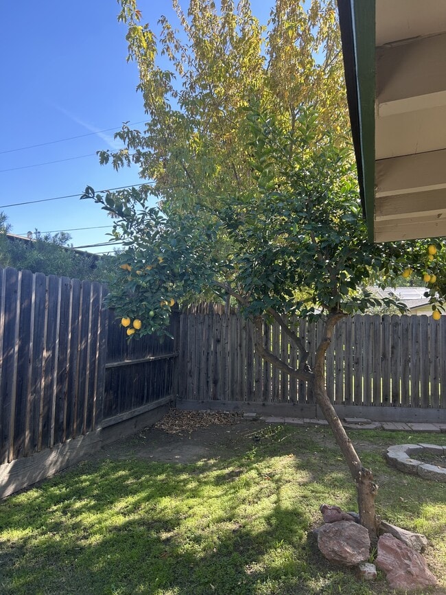 Building Photo - 402 Helen Ave