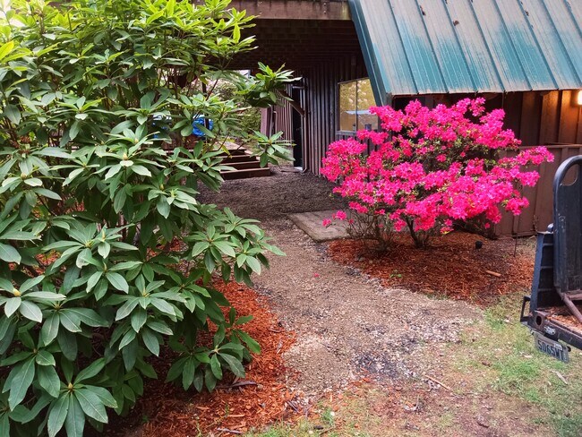 Rear entrance - 8008 149th St NW