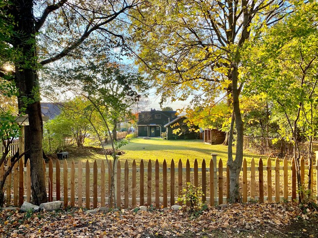 Spacious, fenced yard - 794 Evening St