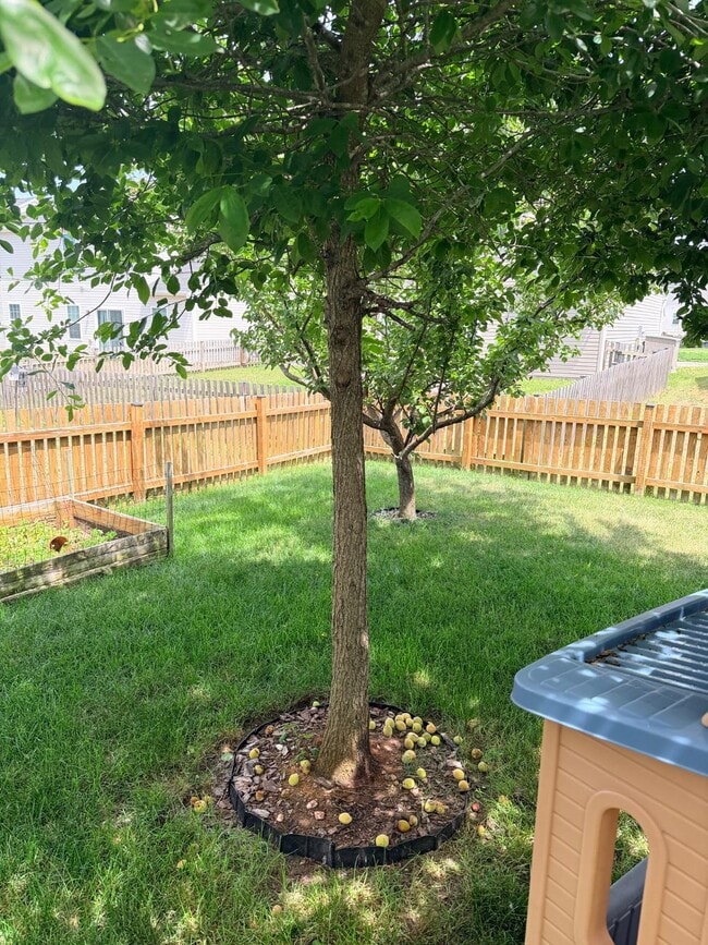 Building Photo - 9411 Wood Creek Cir