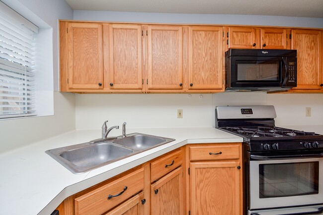 Building Photo - 1319 Irish Mist Ct