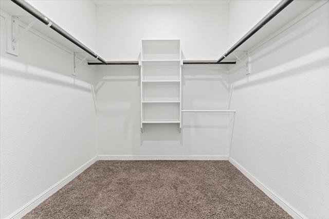 Building Photo - 1117 Scotney Ln
