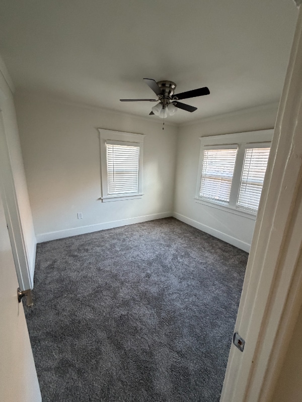 Building Photo - 541 W Commonwealth Ave