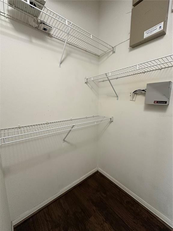 Building Photo - 4320 Northern Dancer Way