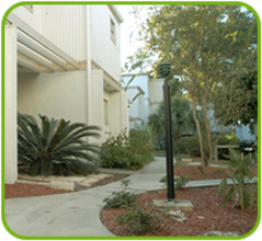 Building Photo - Sparrow 101