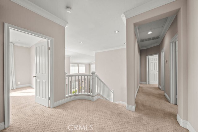 Building Photo - 6 Petria