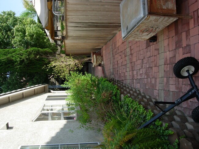 Back yard - 10750 Spyglass Dr