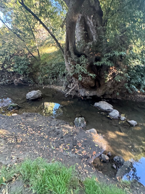 Building Photo - 2163 Eric Ct