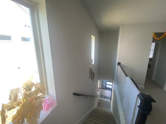 Building Photo - 4716 Corriente Vista Ln