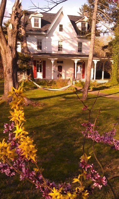 Lazy sunny afternoons in the hammock - 657 South Sumneytown Pike