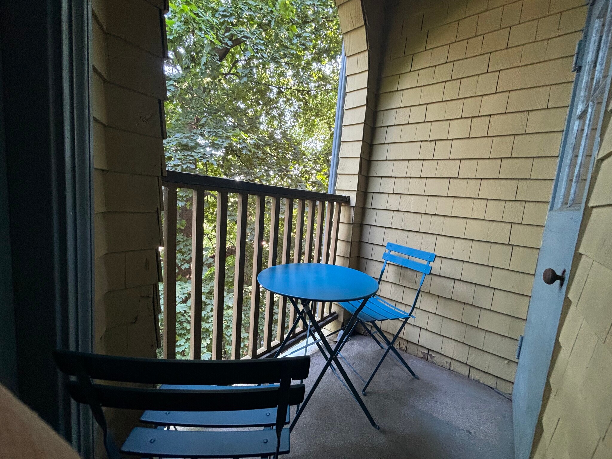 Deck - 50 Edgehill Rd