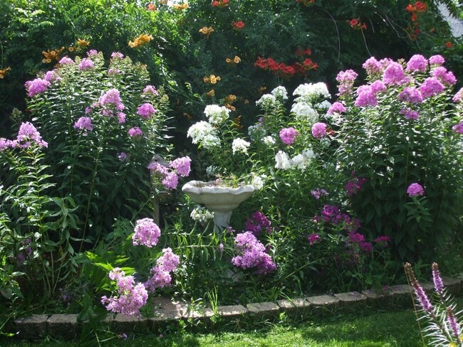 Building Photo - 4808 25th Ave