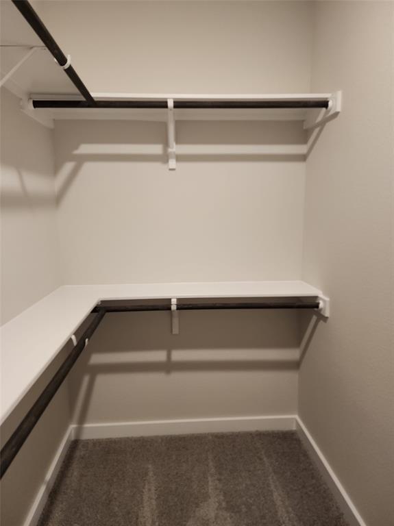 Building Photo - 2353 Moon Tower Trl