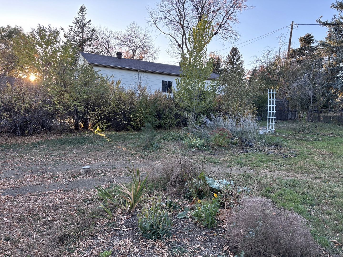 Building Photo - 11065 Pinyon Dr