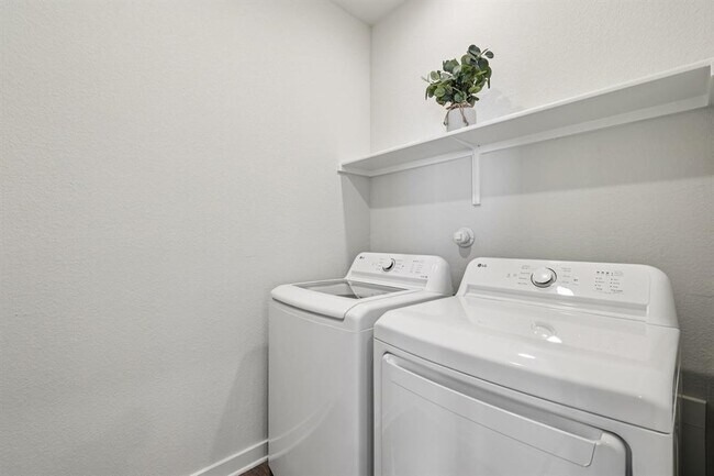 Building Photo - 113 Cutleaf Cv