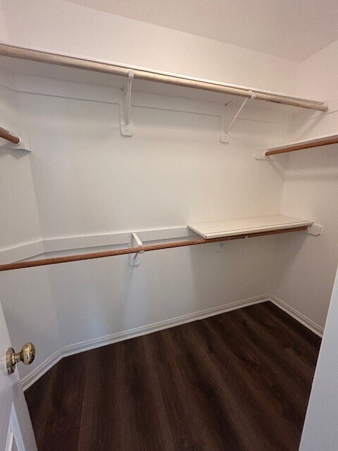 Building Photo - 19711 Morning Glory Terrace Ct