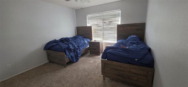 Building Photo - 3529 Brewster Dr