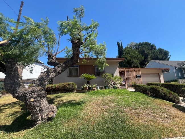 Primary Photo - Spacious 3B 1.5BA Single Family Residence ...