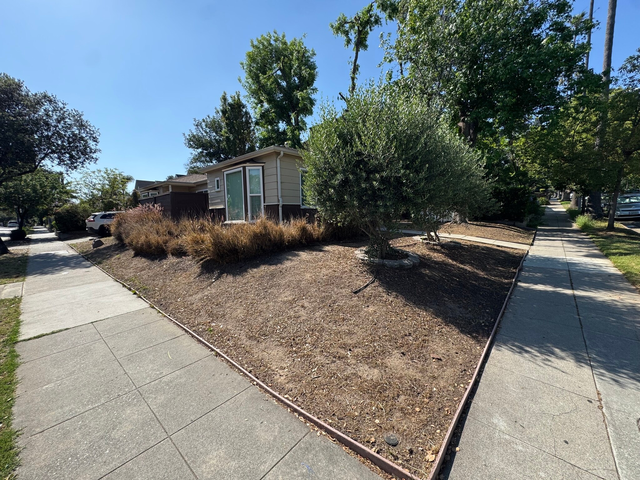 Building Photo - 917 N Los Robles Ave