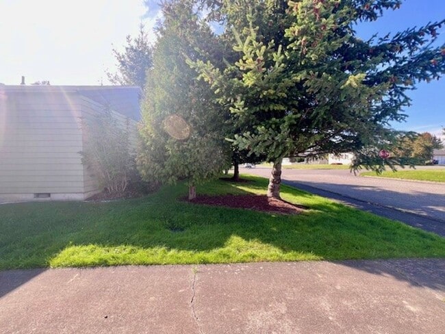 Building Photo - Cute 1 Bd 1 Ba Duplex in Beautiful Blaine!
